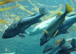 Animal espiritual el pescado vital como el salmón