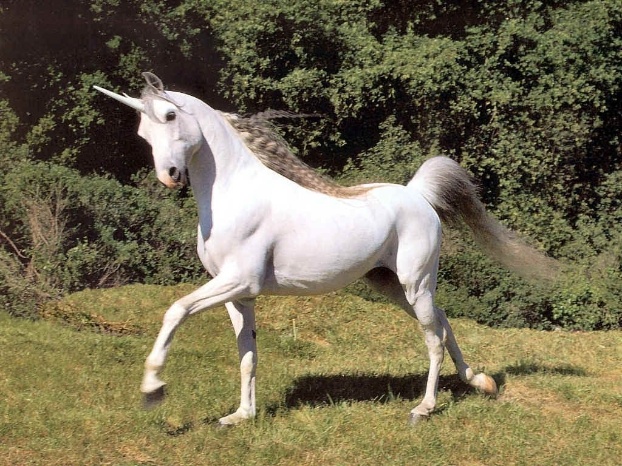 Animales espirituales de la mitología el unicornio
